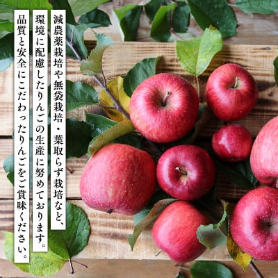 青森県産 無添加りんごジュース1L×6本【青森　平川市　そと川りんご園　平川市産りんご】