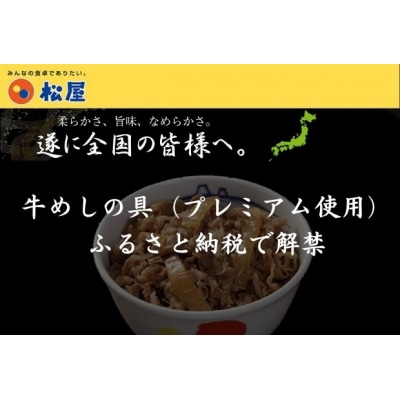 松屋 牛めし 豚めし 10個 セット 冷凍 牛丼 豚丼[№5755-0143]