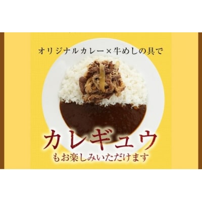 松屋 牛めしの具プレミアム仕様 20個 オリジナルカレー 5個[№5755-0246]