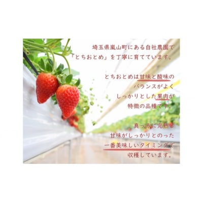 埼玉県嵐山町産いちご使用 特製いちごジャム3本セット[№5755-0226]