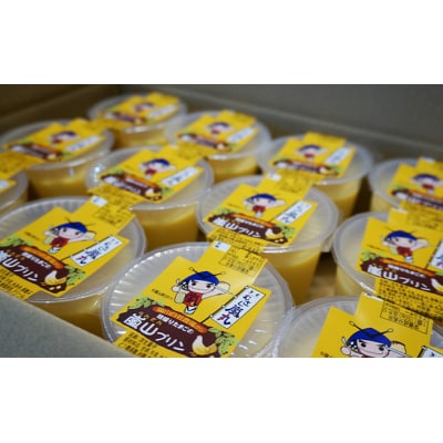 朝採りたまごの嵐山プリン[№5755-0020]