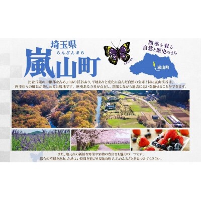 埼玉クエスト2ヶ月フリーパス引換券 子供用【有効期限1年】[№5755-0256]