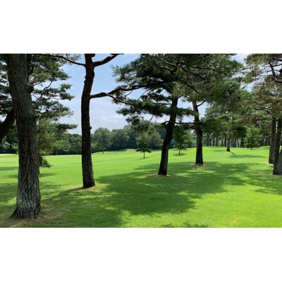 【平日限定】嵐山カントリークラブ ゴルフプレー券 3名様[№5755-0196]