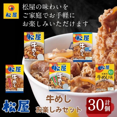 松屋牛めしの具5種30個　お楽しみセット[No.5755-0295]