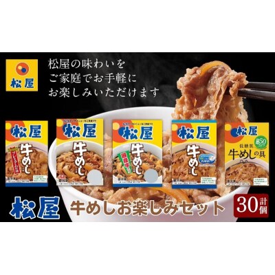松屋牛めしの具5種30個　お楽しみセット[No.5755-0295]