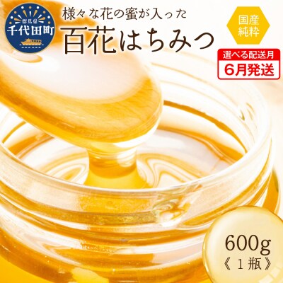 《2025年6月発送》 はちみつ 【千代田町の蜂蜜】600g 百花蜂蜜 ch011-001r-06