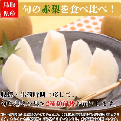 旬の赤梨セット 4kg