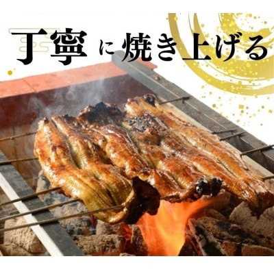 国産うなぎ食べ比べセット　蒲焼き、白焼き各1尾