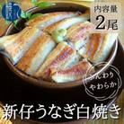 国産 新仔うなぎ白焼き　2尾セット