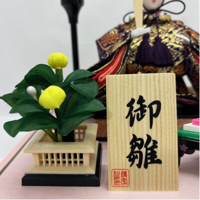 雛人形 ケース飾り 親王飾 192a-92