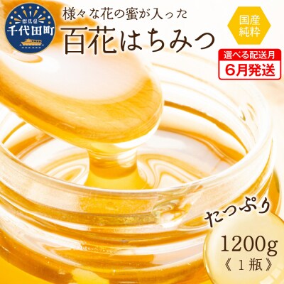 《2025年6月発送》 はちみつ 【千代田町の蜂蜜】1200g 百花蜂蜜 ch011-004-06
