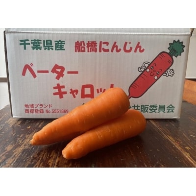 船橋にんじんポタージュ 3袋セット(180g×3袋)(K63)
