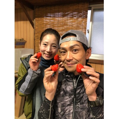 【期間限定】こてらんねぇイチゴ 24～36粒(約1kg・やよい姫or紅ほっぺ)(F25)