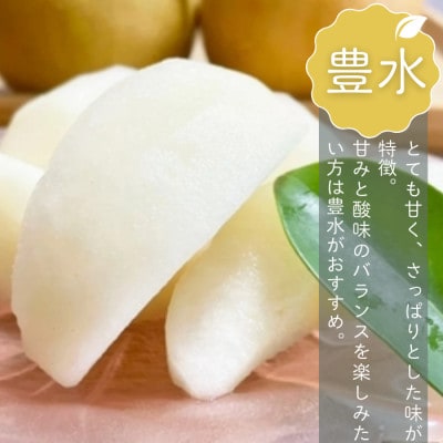 船橋の梨 「豊水」 3kg 【贈答用】 令和8年8月下旬より順次発送 甘い旬の梨を産地直送