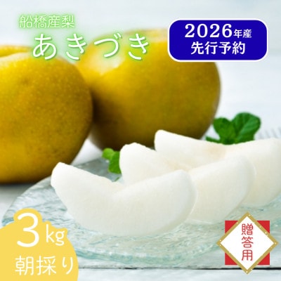 船橋の梨 「あきづき」 3kg 【贈答用】なし 令和8年9月上中旬より順次発送 甘い旬の梨を産地直送