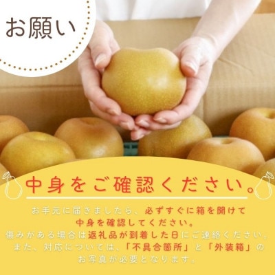 船橋の梨 「幸水」 3kg 【贈答用】 令和8年8月上中旬より順次発送 甘い旬の梨を産地直送