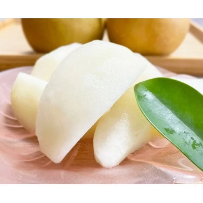 令和8年8月上中旬より順次発送【家庭用】船橋産梨「幸水」3kg (6〜9玉)