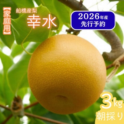 船橋の梨 「幸水」 3kg 家庭用 令和8年8月上中旬より順次発送 甘い旬の梨を産地直送 訳あり