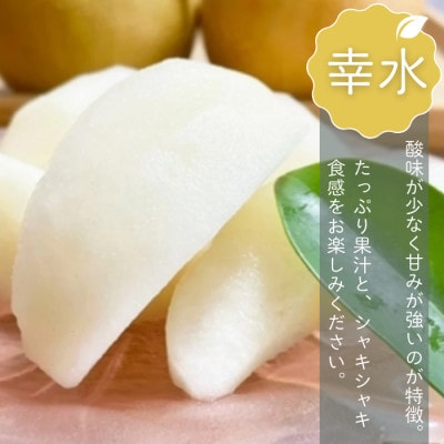 船橋の梨 「幸水」 3kg 家庭用 令和8年8月上中旬より順次発送 甘い旬の梨を産地直送 訳あり