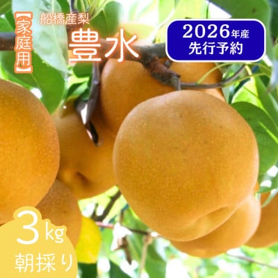 船橋の梨 「豊水」 3kg 家庭用 令和8年9月上旬より順次発送 甘い旬の梨を産地直送 訳あり