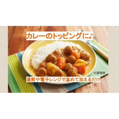 工場直送イシイのミートボール(K110)