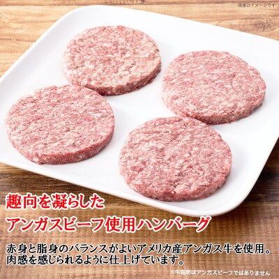 【ふるさと納税】 アンガスビーフ使用 ハンバーグ4枚 手作り 千葉 船橋  日本ハム ミートフル