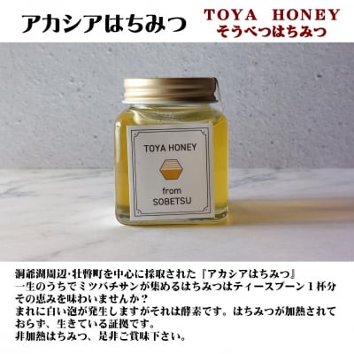 北海道アカシアはちみつと洞爺湖ハーブリップ1本(無香料)SBTX006-1