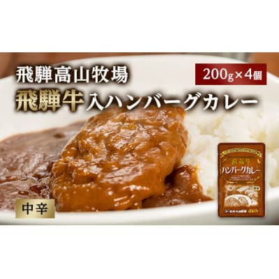 飛騨牛入ハンバーグカレー 200g 4個
