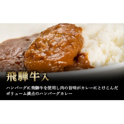 飛騨牛入ハンバーグカレー 200g 4個