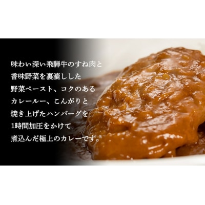 飛騨牛入ハンバーグカレー 200g 4個