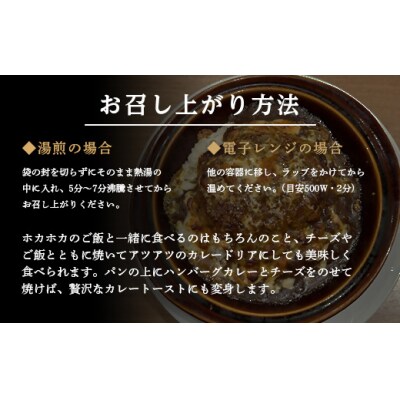 飛騨牛入ハンバーグカレー 200g 4個