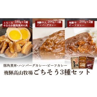 【セット】飛騨牛入ハンバーグカレー1個・飛騨牛ビーフカレー2個・とろーりやわらか豚角煮丼の具1個