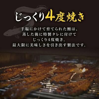 【緊急支援品】　鹿児島県産うなぎ　きざみうなぎ3袋
