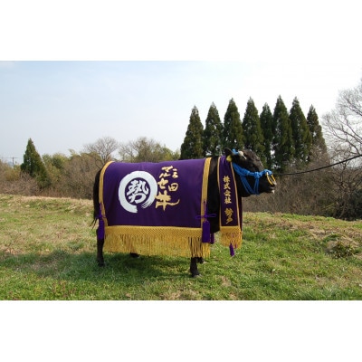 三田マルセ牛　厚切りロースステーキ　約270g×2枚