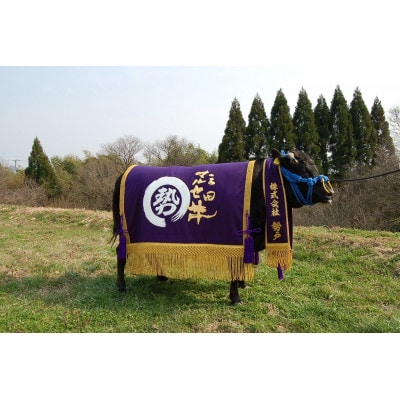 三田マルセ牛おまかせミニステーキ3枚