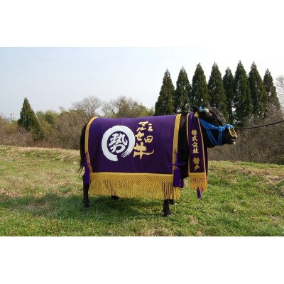 三田マルセ牛おまかせミニステーキ4枚