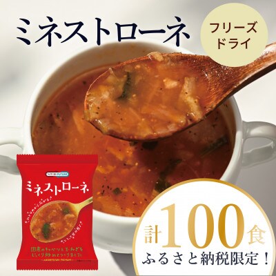 【フリーズドライ】NATURE FUTURe ミネストローネ100食