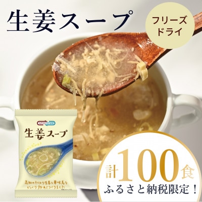 【フリーズドライ】NATURE FUTURe 生姜スープ100食