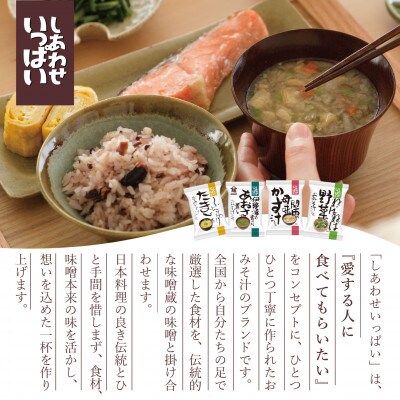 【フリーズドライ】しあわせいっぱい ごぼうがいっぱい入った豚汁100食