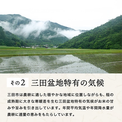 【令和7年産】三田米コシヒカリ　精米　10kg(5kg×2袋)