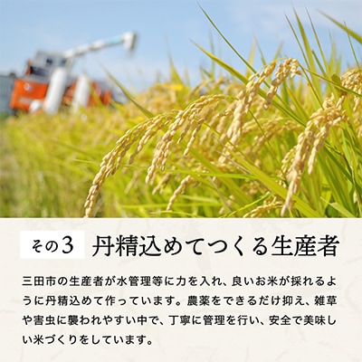 【令和7年産】三田米コシヒカリ　精米　10kg(5kg×2袋)