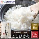 【毎月定期便】三田米コシヒカリ 精米 5kg全6回