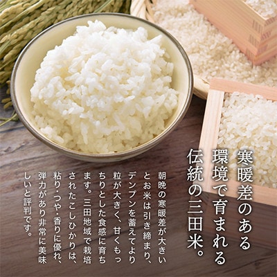 【毎月定期便】三田米コシヒカリ 精米 5kg全6回