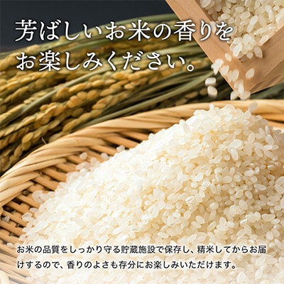 【毎月定期便】三田米コシヒカリ 精米 5kg全6回