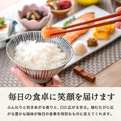 【毎月定期便】三田米コシヒカリ 精米 5kg全6回