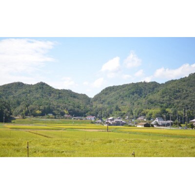 兵庫県三田市波豆川産コシヒカリ(さとのたから)白米5kg