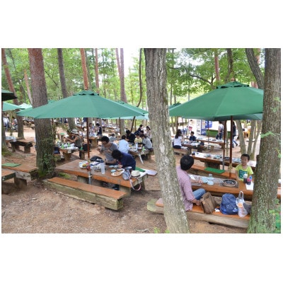 しいたけ狩り+BBQ　黒毛和牛・若鶏コース　ペアお食事券