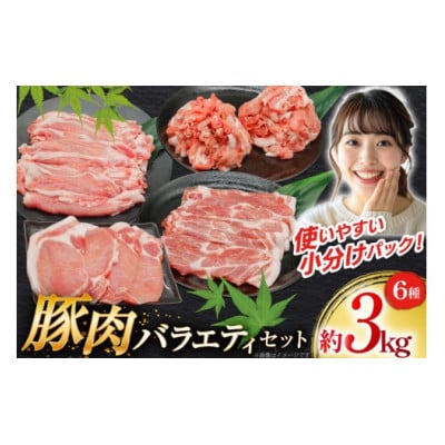 豚肉 バラエティ セット 計3kg ロース とんかつ用 豚こま 肩ロース スライス 切り落とし