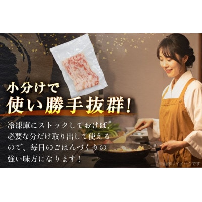 豚肉 バラエティ セット 計3kg ロース とんかつ用 豚こま 肩ロース スライス 切り落とし