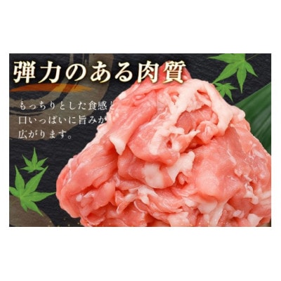 豚肉 バラエティ セット 計1.5kg ロース とんかつ用 豚こま 肩ロース スライス 切り落とし